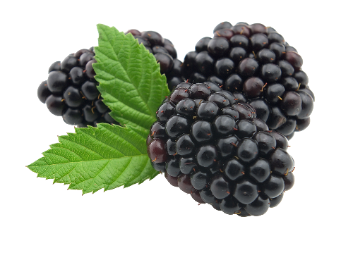 Boysenberry Butter - Liko Lehua Fruit Butter
